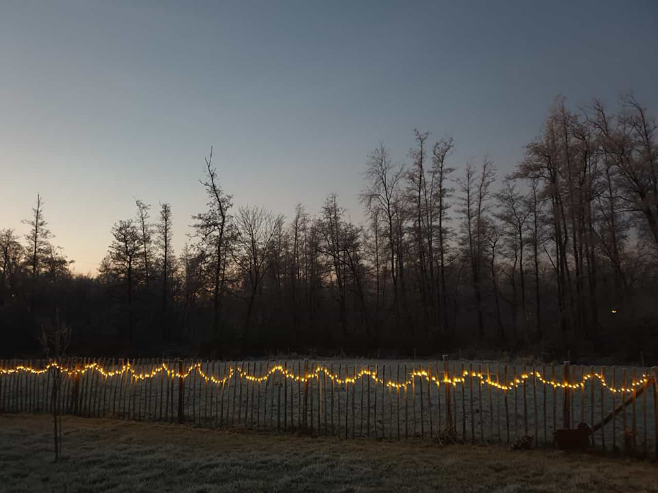 Stiltreu Staketenzaun im Morgengrauen mit Lichterkette